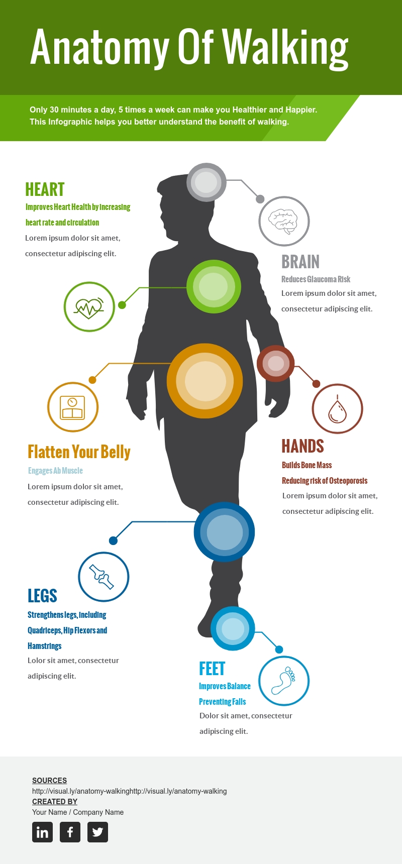 Anatomy Of A Data Scientist Infographic - e-Learning Infographics
