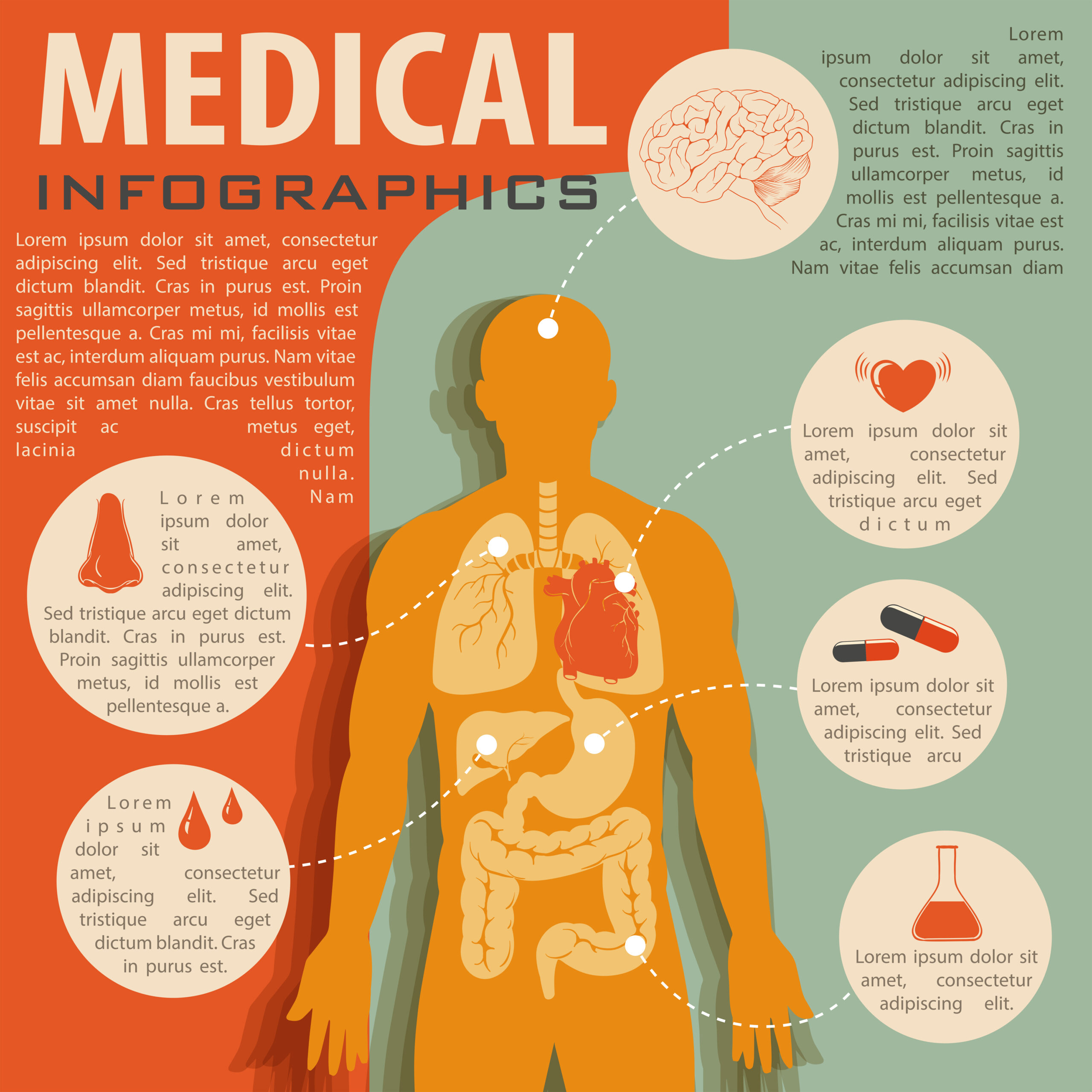 Medical infographic with human anatomy 298414 Vector Art at Vecteezy