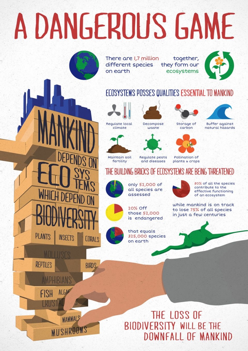 Infographics for biodiversity in Colombia on Behance