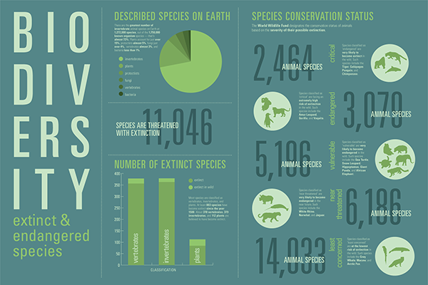 The facts of Biodiversity| International Innovation | Infographic, Internship, Biodiversity