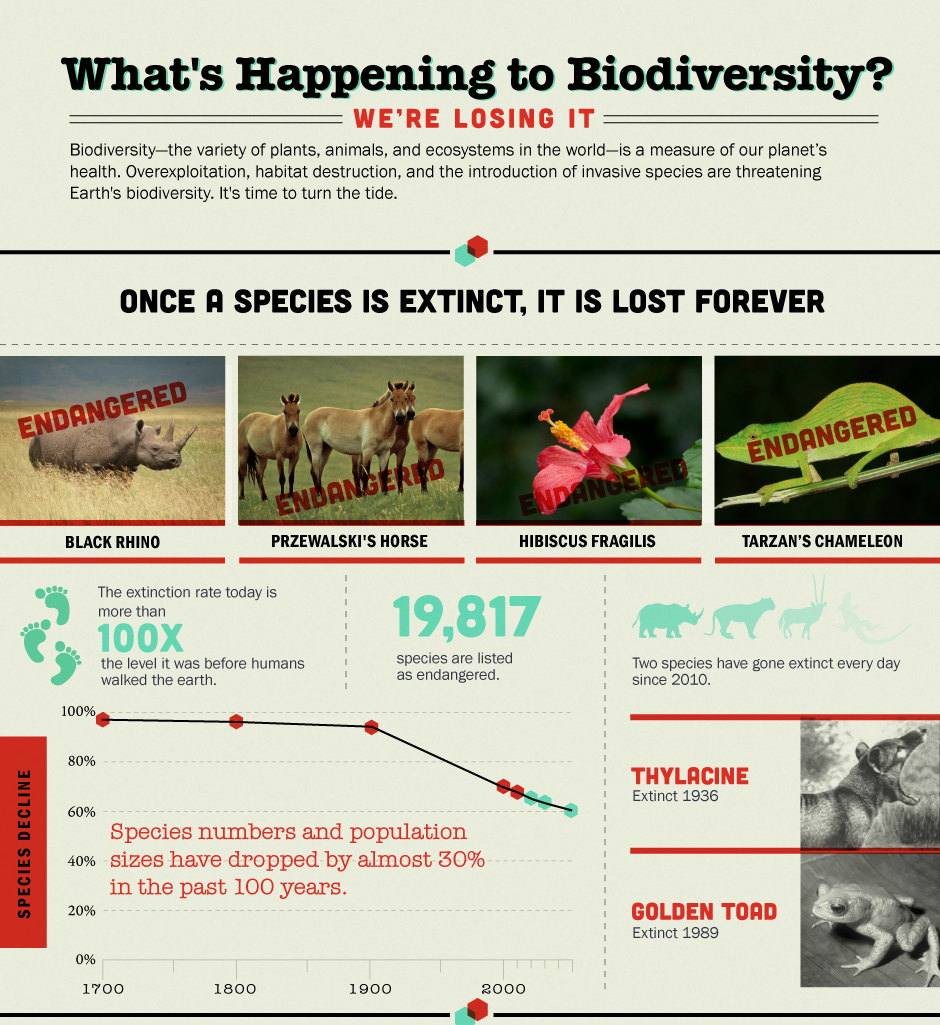 EPA Nature and Biodiversity Infographic | Biodiversity, Teaching, Infographic