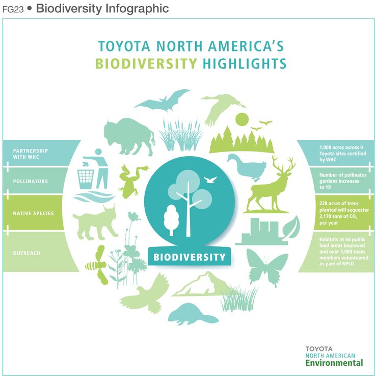 Loss of Biodiversity | Visual.ly