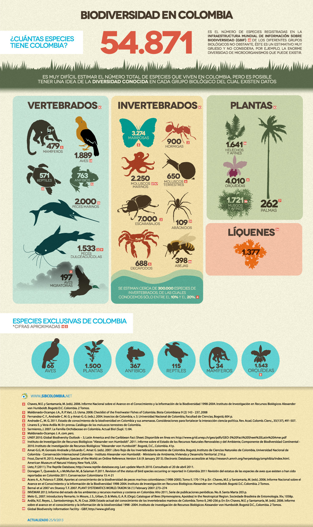 Top 10 Biodiversity Conservation Infographics | Amazon rainforest, Rainforest facts, Amazon ...