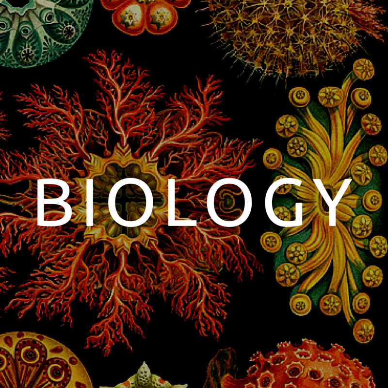 What is synthetic biology? - Nanalyze