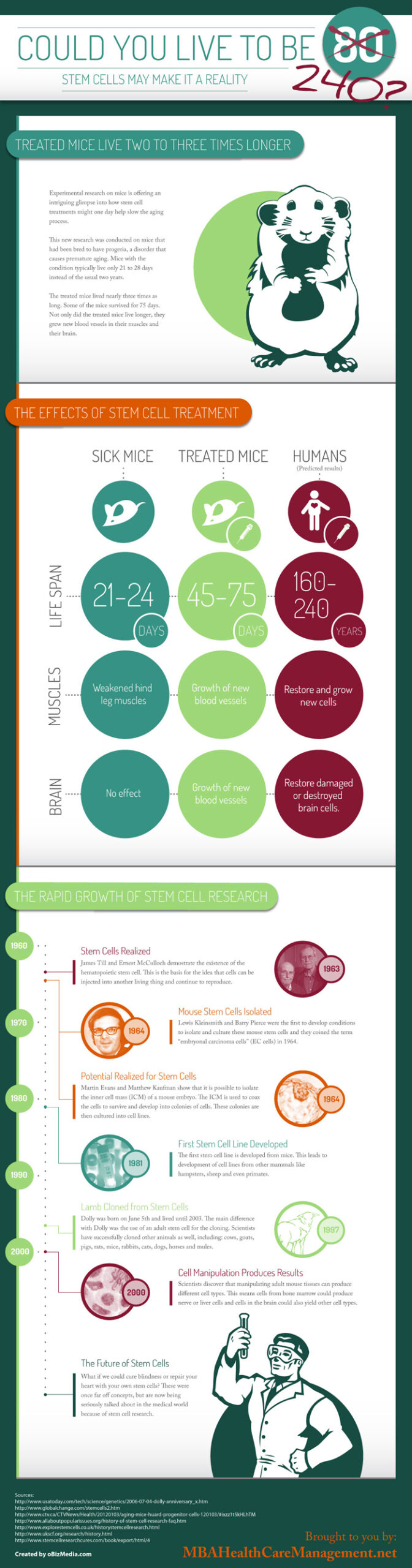 R3 Stem Cell | Infographic  The Basics of Amniotic and Umbilical Stem Cell Therapy | R3 Stem Cell