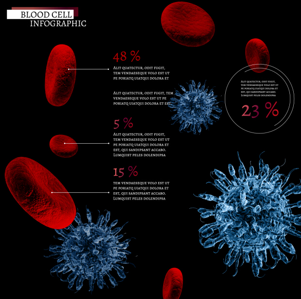 Animal Cell Infographic on Behance