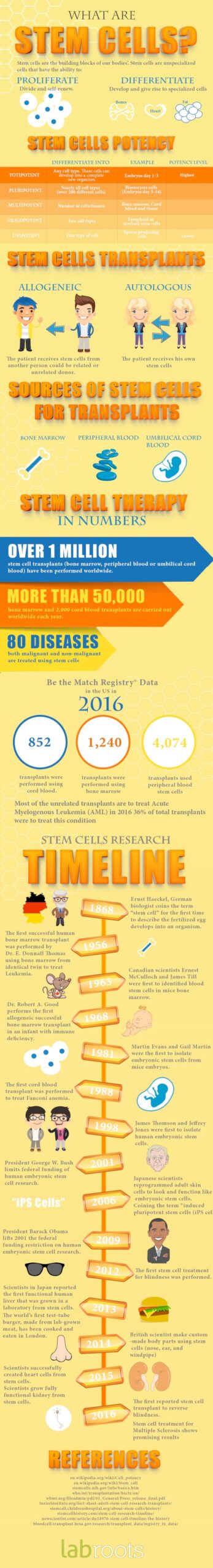Stem cells infographic | Science on Cells | Pinterest | Infographic, School and Ap biology