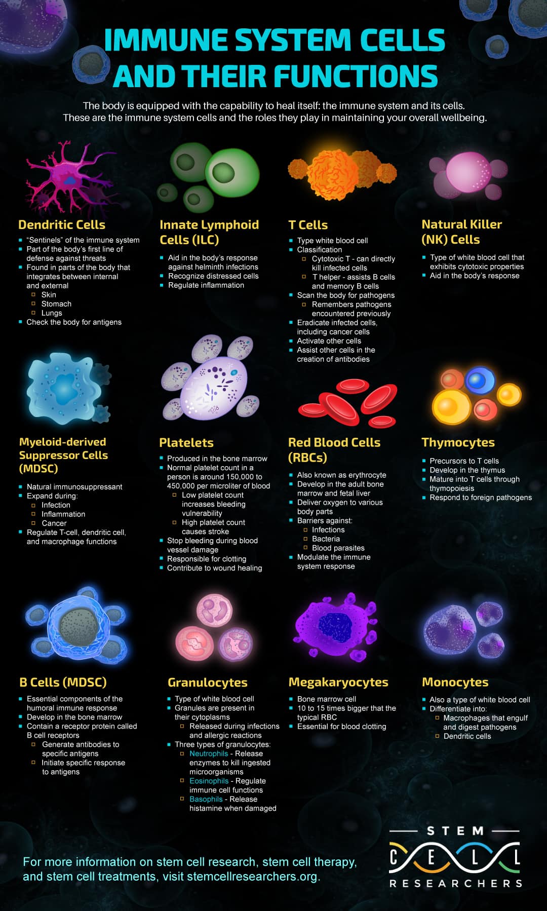 Infographic: Anatomy of a Cell - KIDS DISCOVER