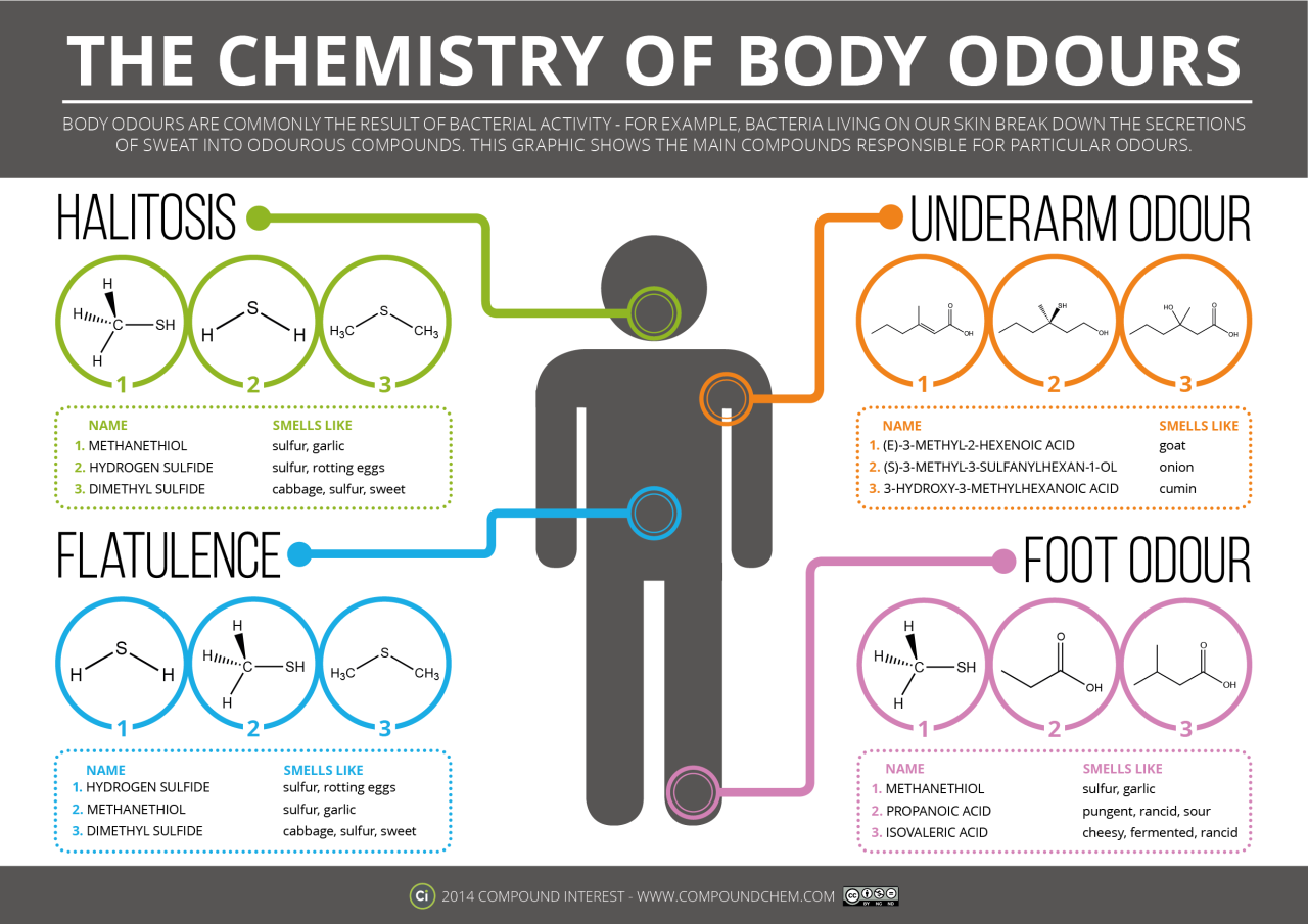 Chemistry Infographic Template | Infographic templates, Infographic, Simple powerpoint templates
