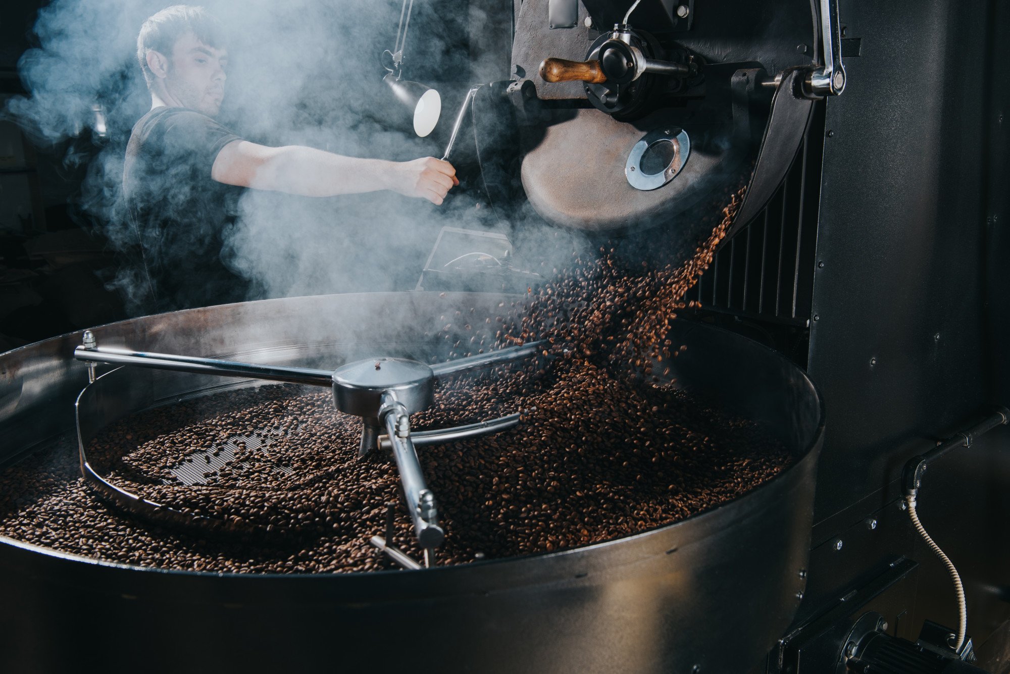 Coffee Roasting Basics: Developing Flavour by Roasting
