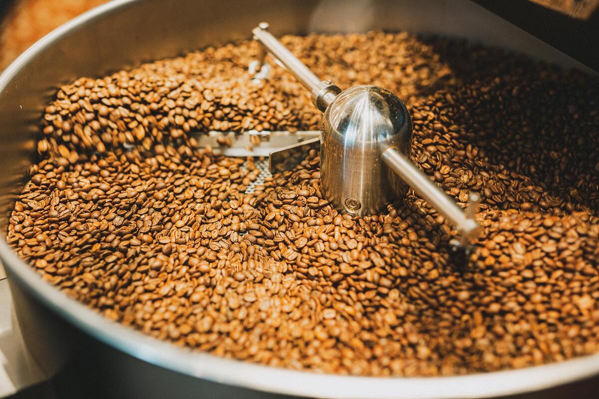 Mapping Roasting Plans Between Different Machines - Daily Coffee News by Roast MagazineDaily ...