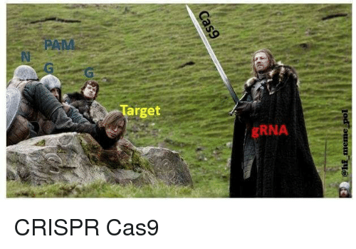 CRISPR-CAS9 the genome surgeon [OC] : comics