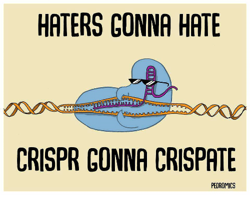 The Facts Behind #CRISPRfacts and the Hype Behind CRISPR | Center for Genetics and Society