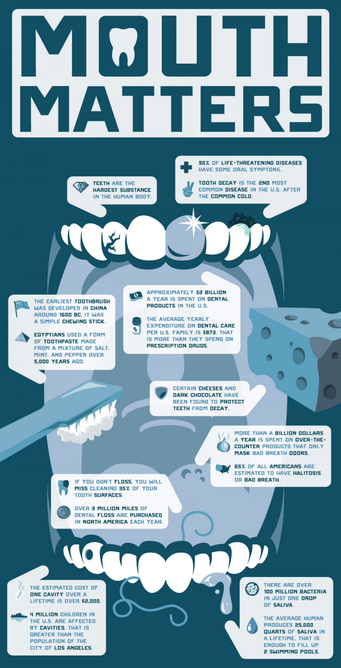 Life Stages of a Tooth #infographic - Visualistan