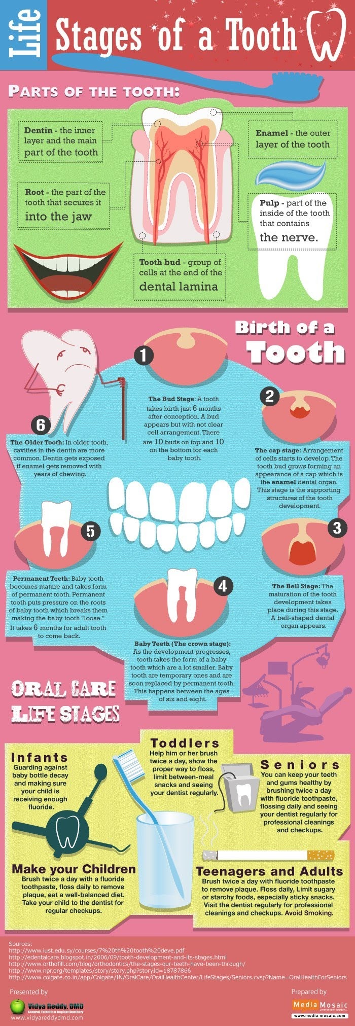 Dental Industry Infographic Sample | Pennington Creative