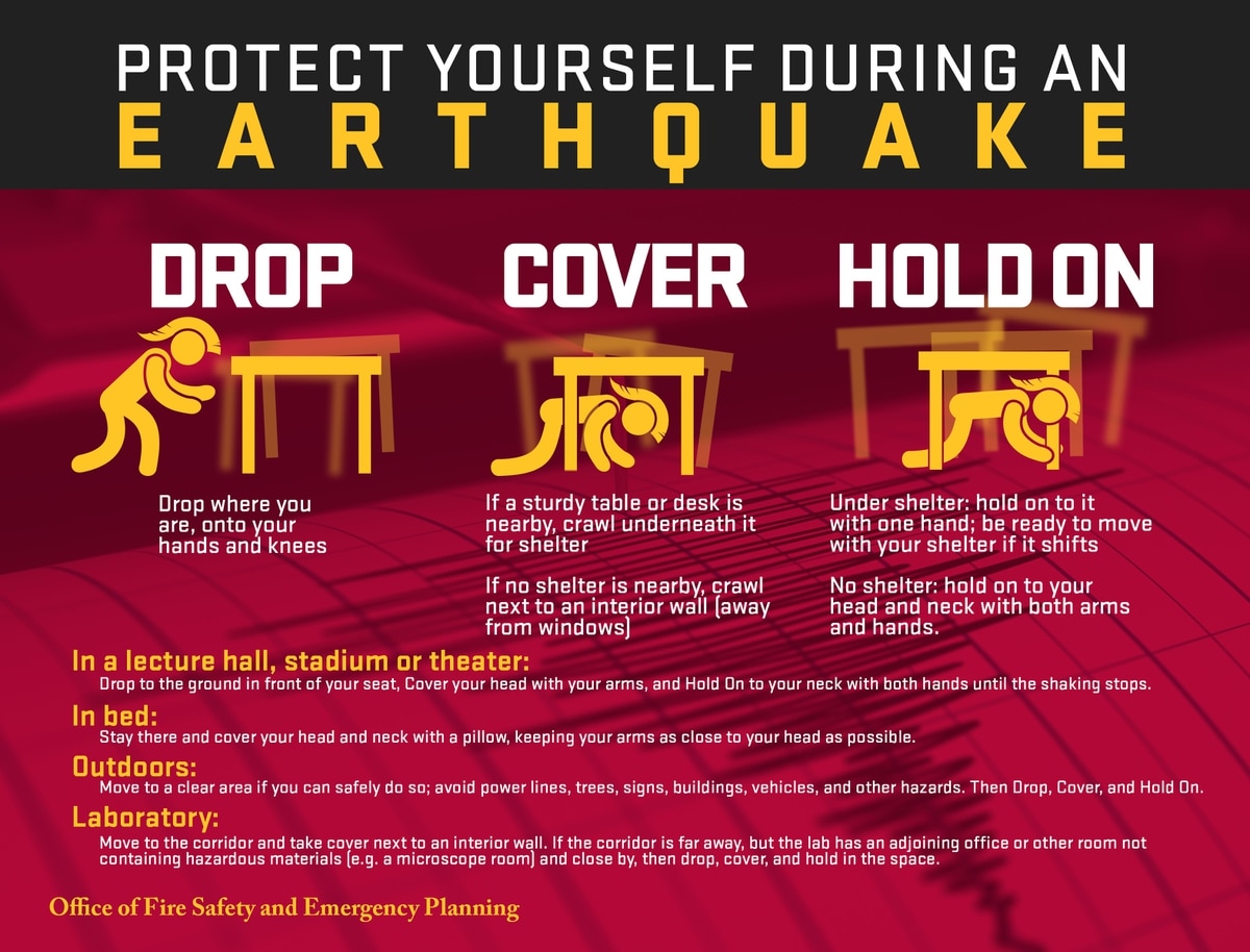 35+ Latest Earthquake Preparedness Brochure Template - Sweet Peats