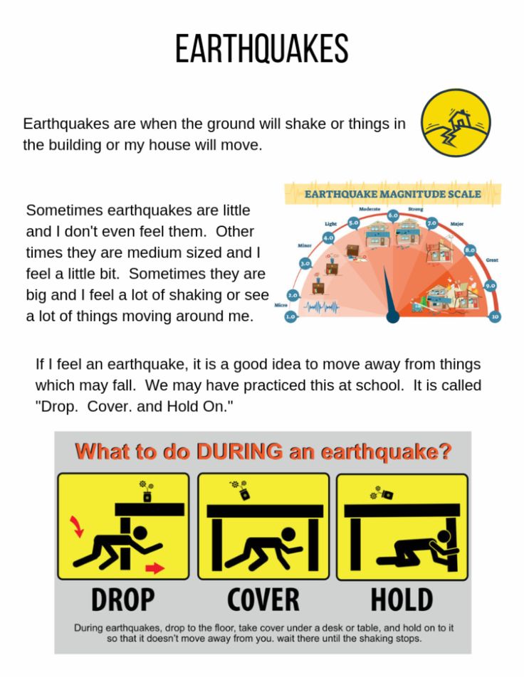 Useful Earthquake Information | Japan Style