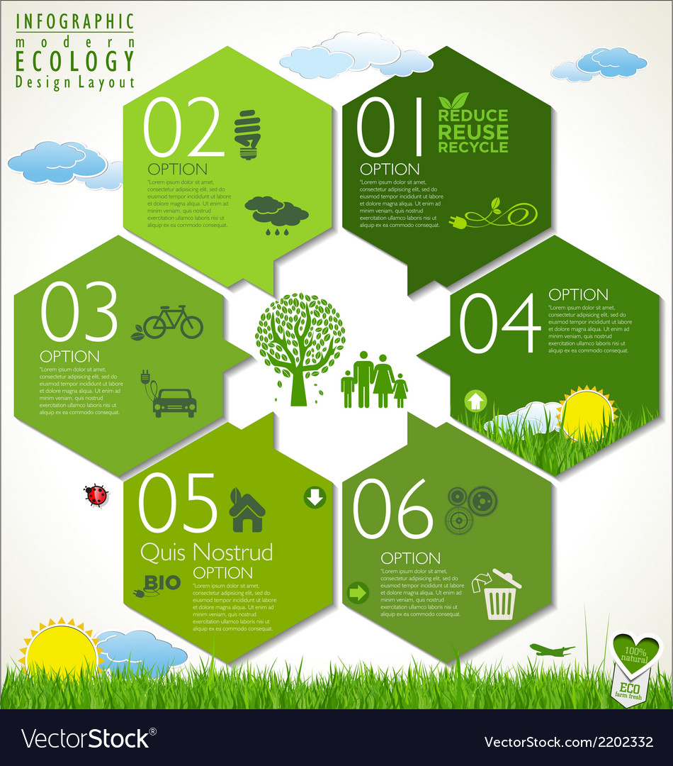 Ecology Infographics Chart Stock Vector - Image: 41306792