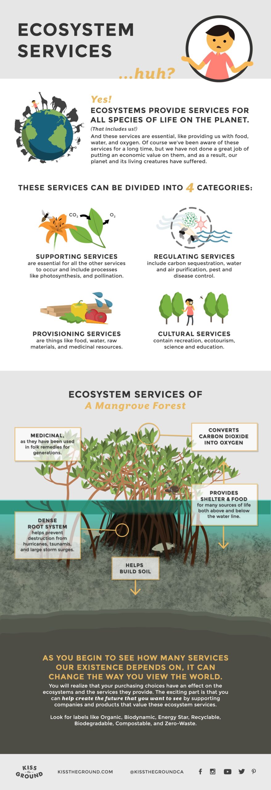 Ecosystems of the World | Visual.ly | Science infographics, Ecosystems, Environmental science