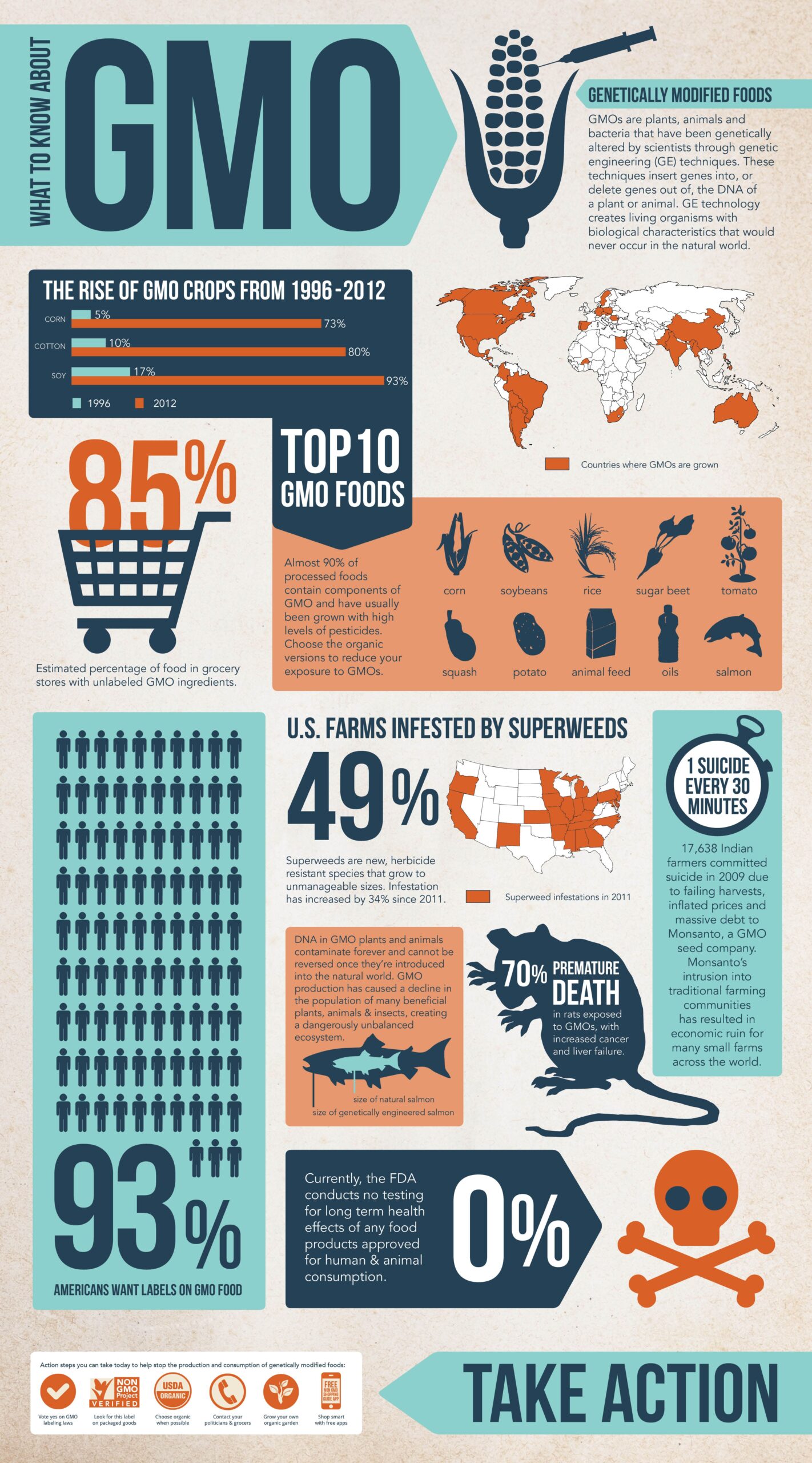 #Infographic about Genetically Modified Organisms (GMOs) | Eco-Infographics | Pinterest ...