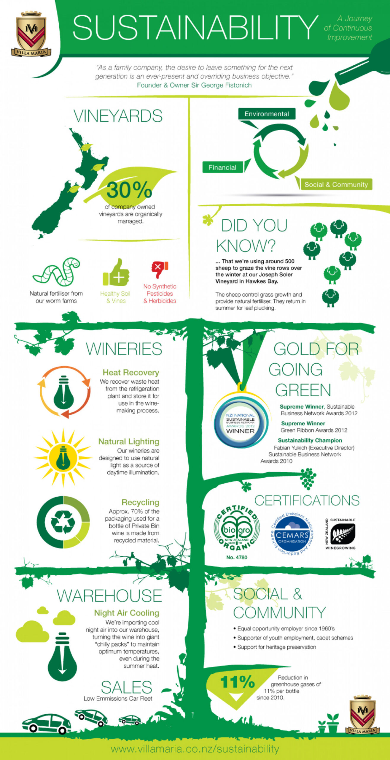 Green Infographics | Infographic, Infographic templates, Illustrator template
