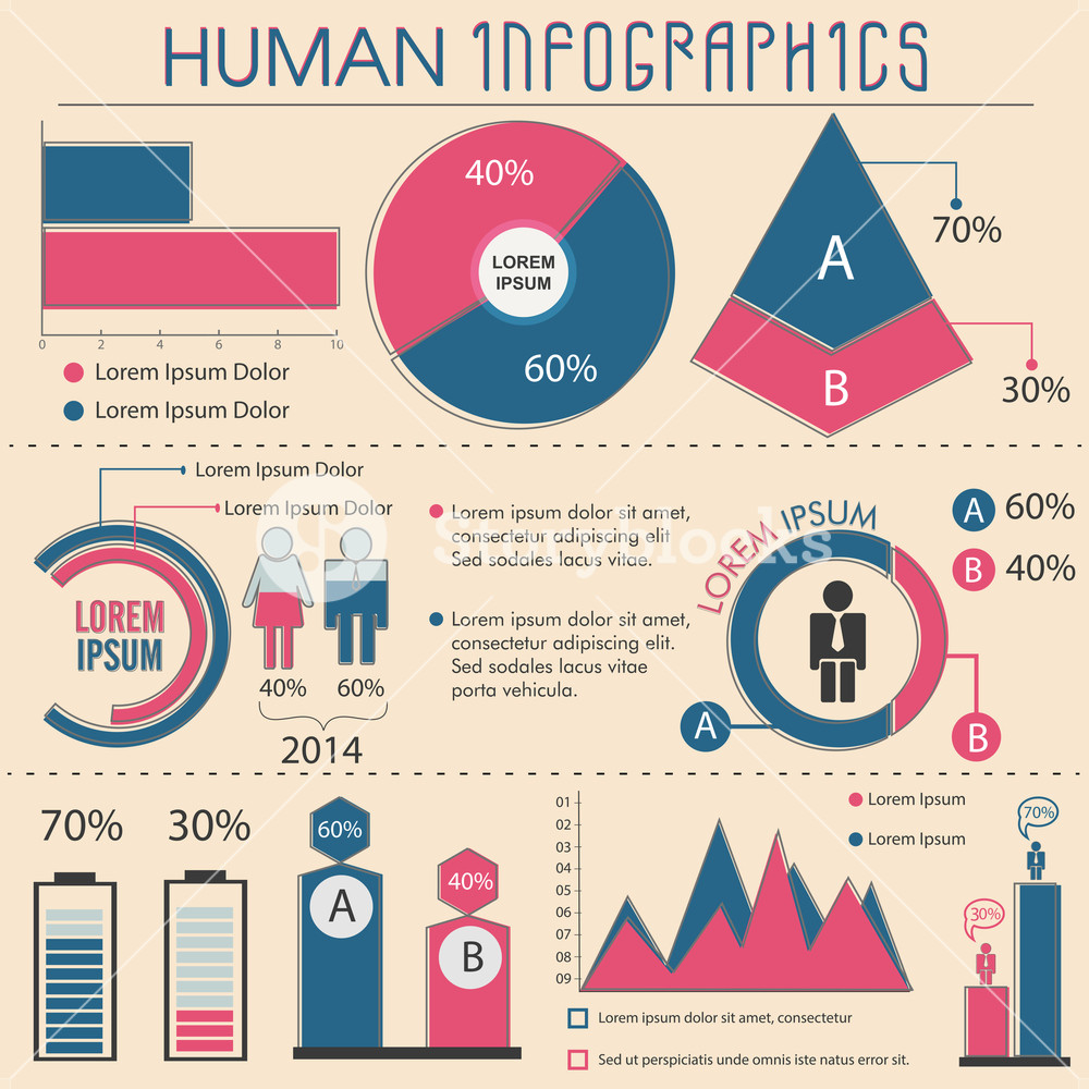Modern infographic design template with 6 rounded Vector Image