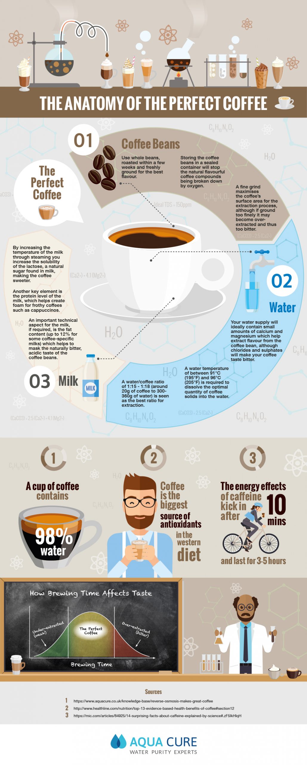 Delicious Coffee Infographic - Best Infographics