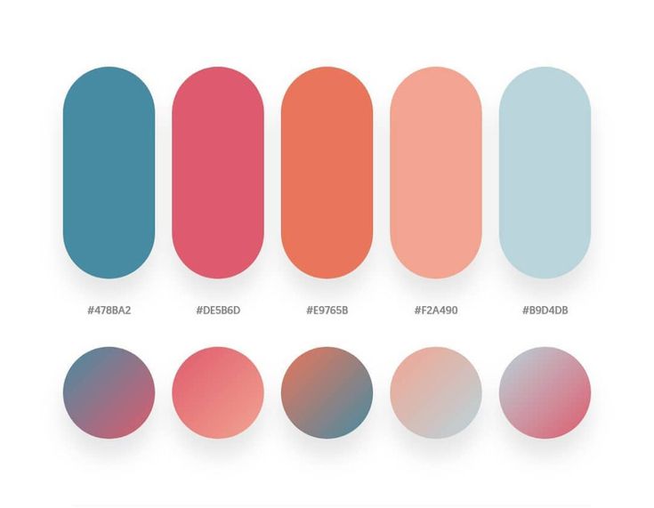 Modern Colorful Infographic Color Palette | Infographic, Color palette, Palette