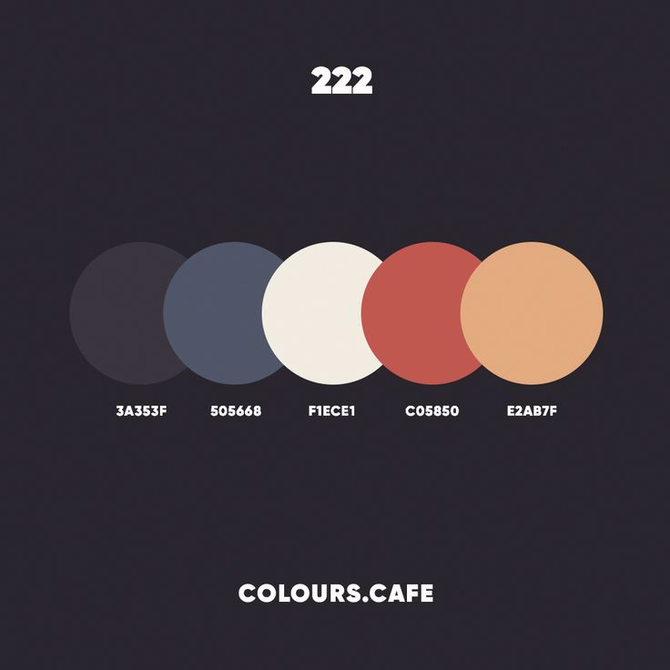 Strategy Infographic Color Palette