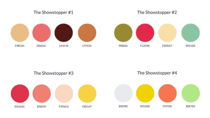 Infographics Color Palette