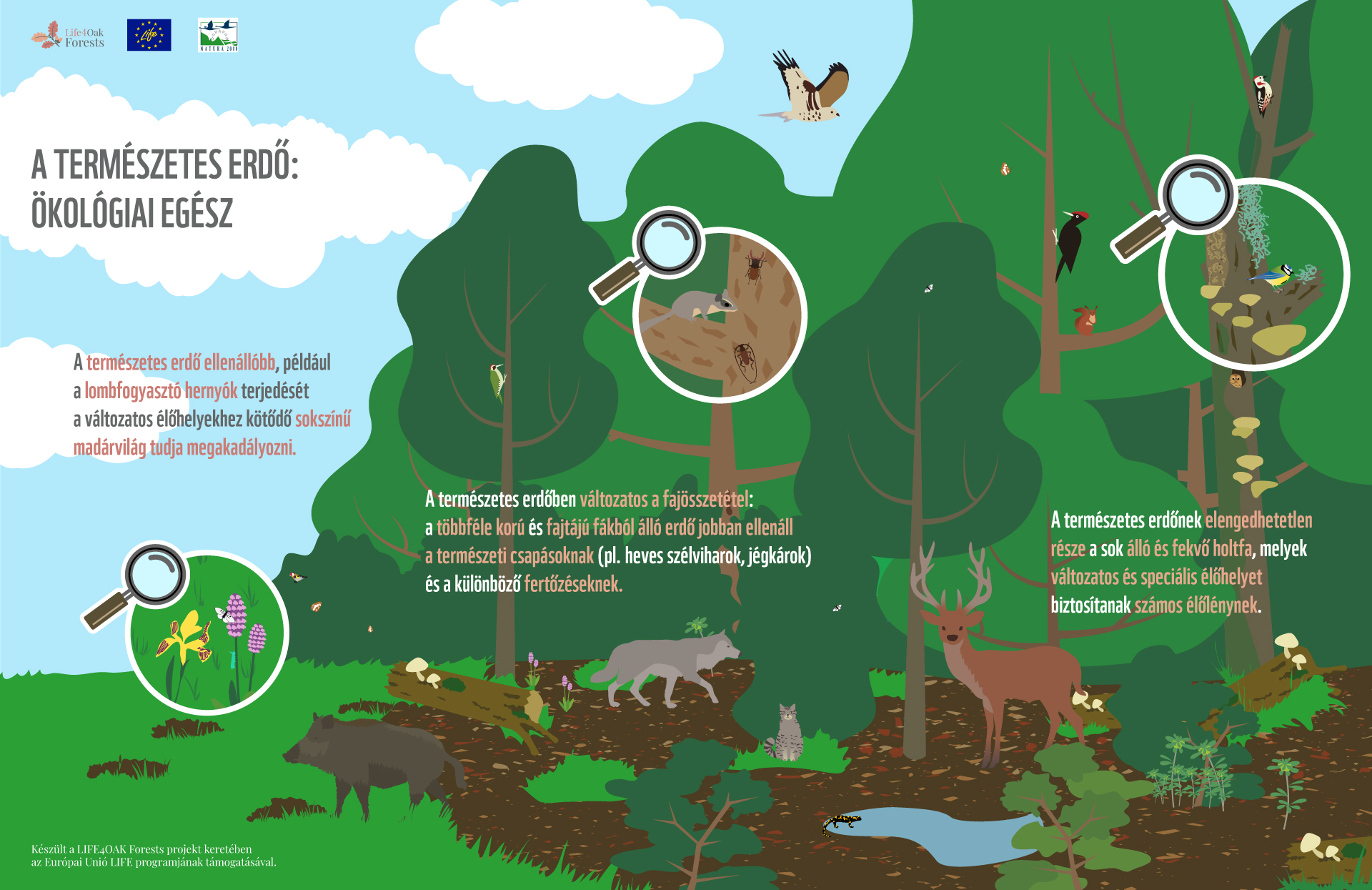 Ecology Nature Infographic - Download Free Vectors, Clipart Graphics & Vector Art