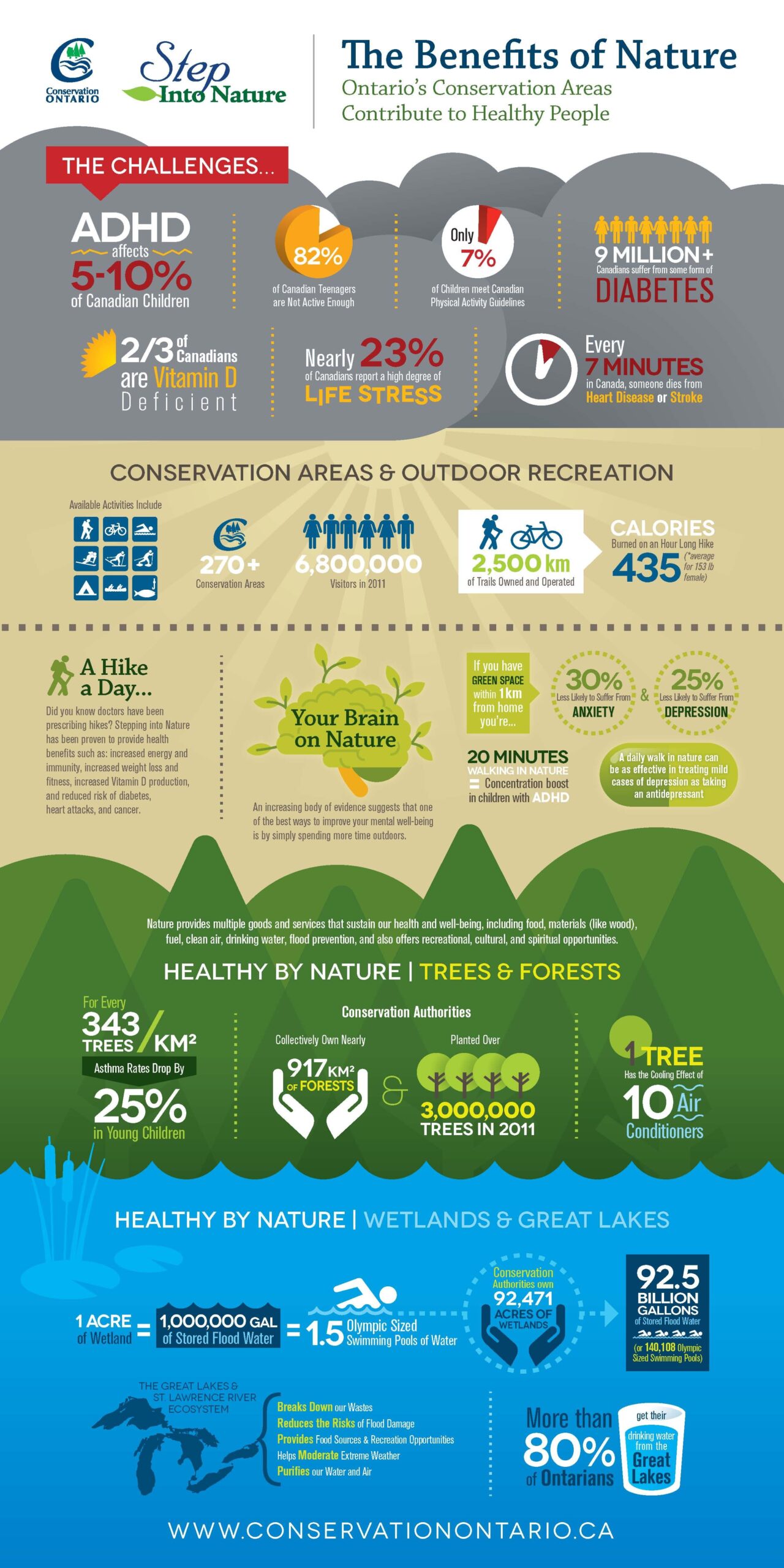 Green Infographics | Infographic, Catalog design, Green nature
