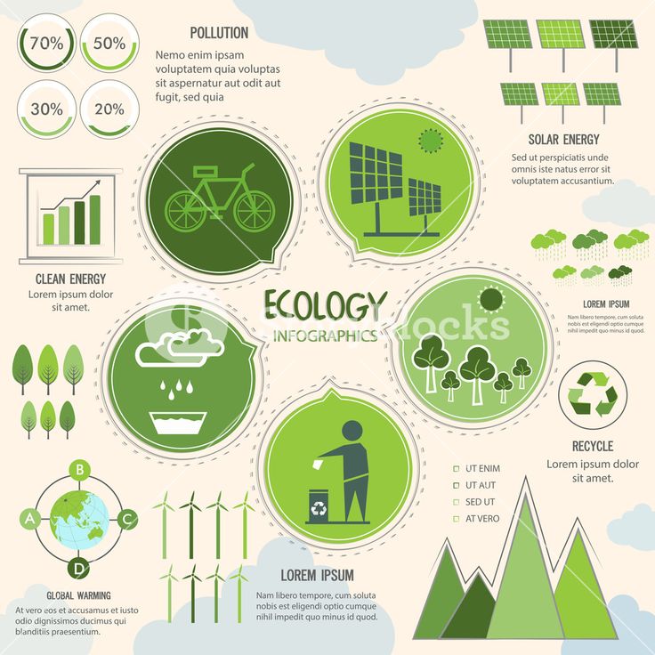 Nature Infographic Template Icons Stock Illustration - Download Image Now - iStock