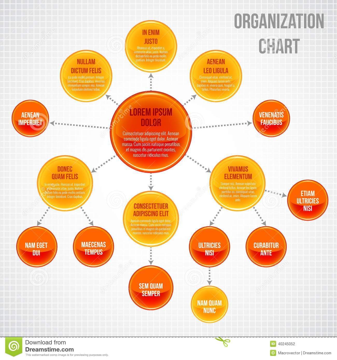 Infographic design organization chart template Vector Image