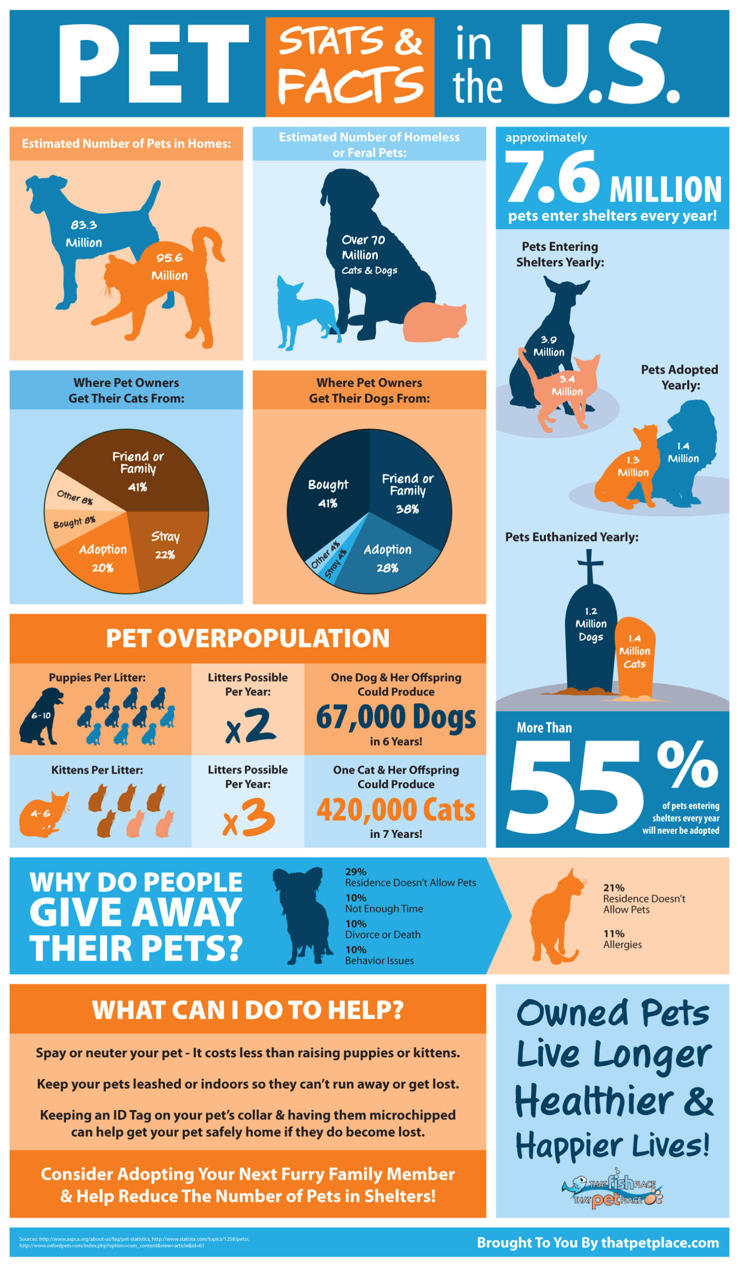 Infographic: If Your Pets Could Talk - DesignTAXI.com