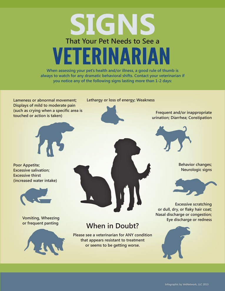 Benefits of living with a pet infographic | Free Vector