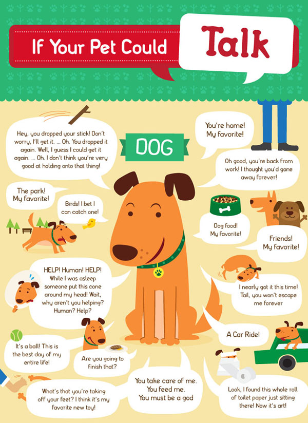 Renting with Pets (infographic)