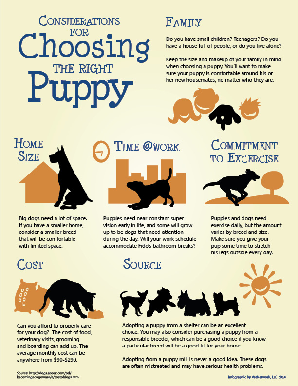 Halloween Pet Safety Infographic Designed by Gilday Creaive, Inc.