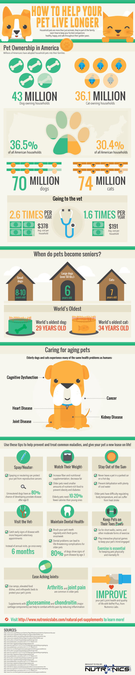 The Benefits of Owning a Pet Infographic | Visual.ly