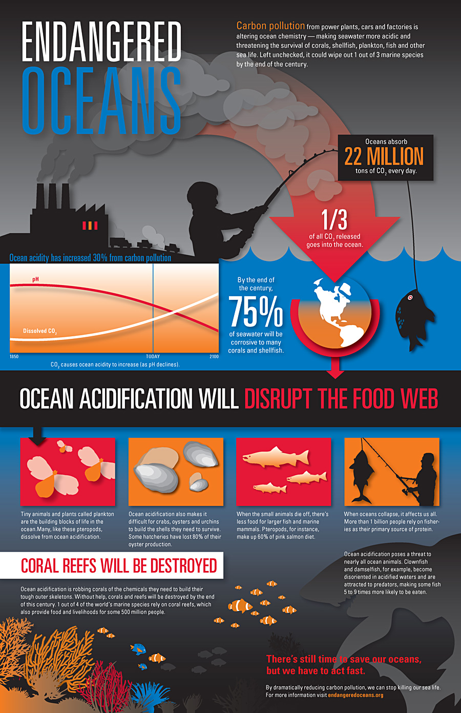 Plastic pollution infographic on Behance