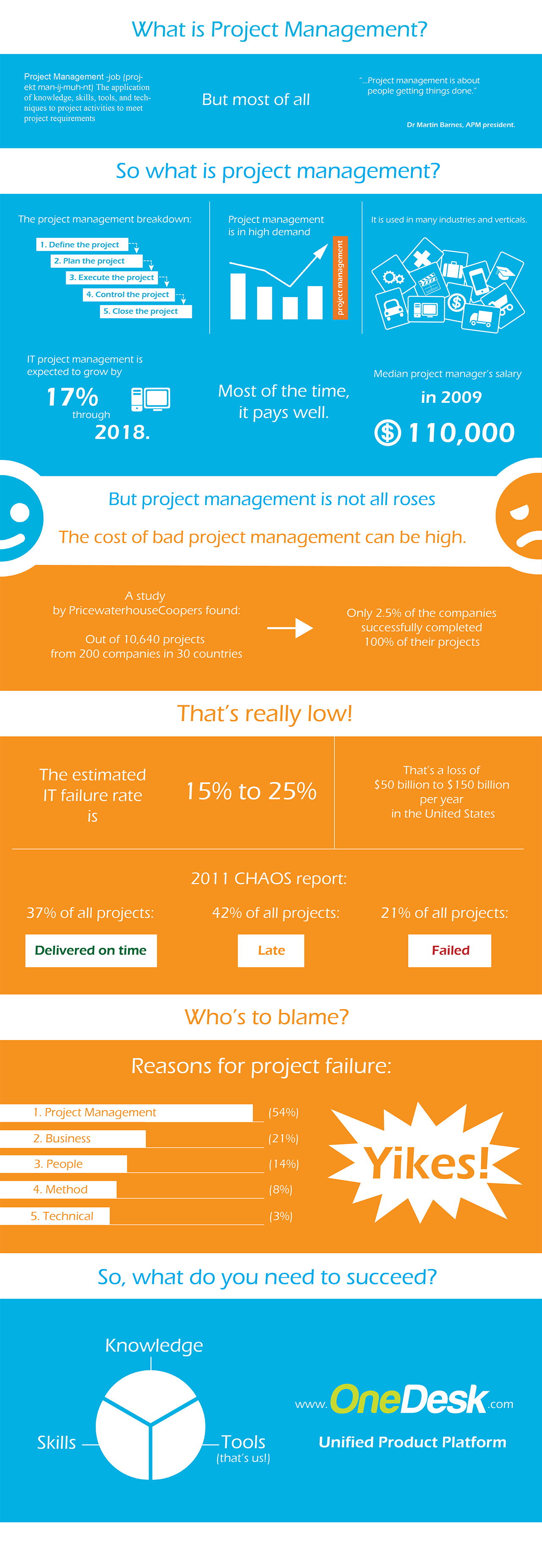 Company App Project Delivery Process Infographic Template | Process infographic, Infographic ...