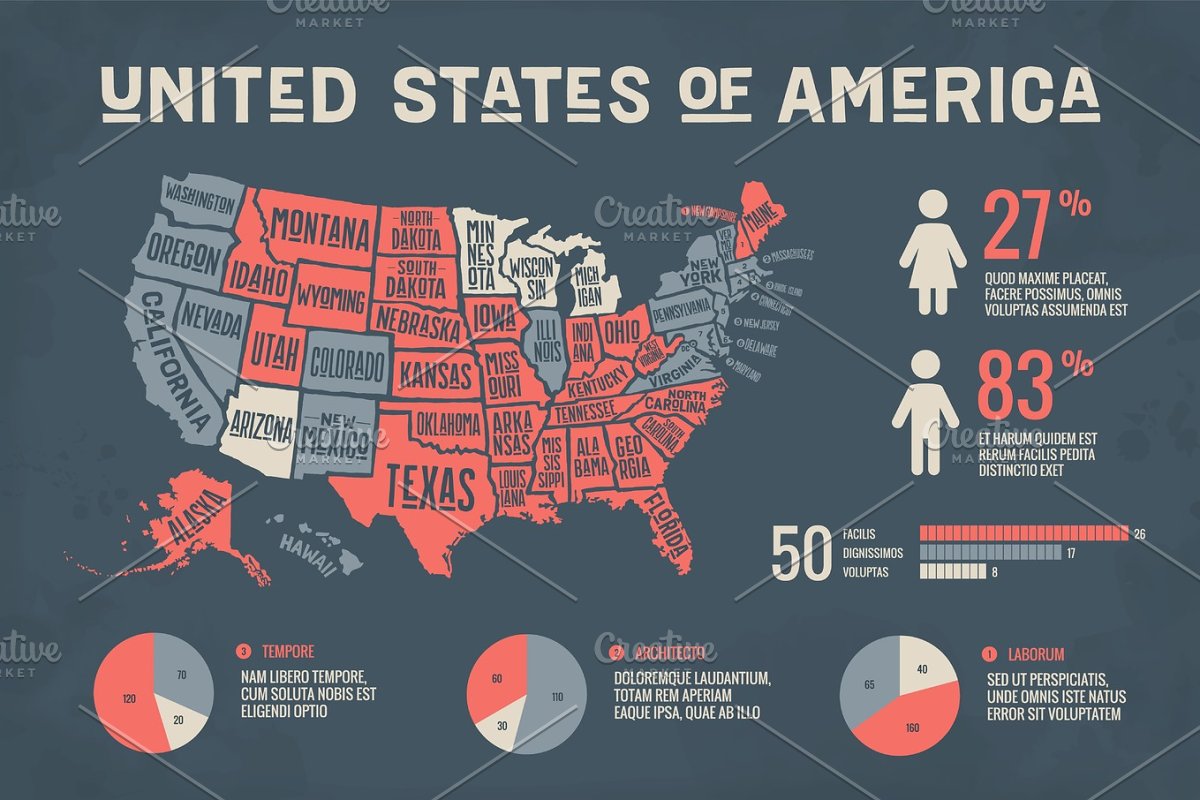 United States Infographic Map And Flag Illustration Stock Illustration - Download Image Now - iStock